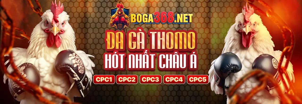 Hình ảnh một trận đá gà trực tuyến kịch tính tại vin7772